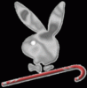 Playboy bunny or bird?